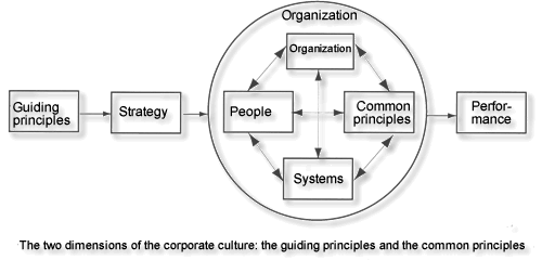 Guiding principles